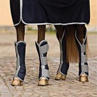 Moi je met des bottes hautes pareil comme ma photos. De plus, avec un grand cheval, si le plafond de la  remorque est plutôt basse je mettrais un...