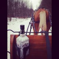 Mon ann&eacute;e a cheval a &eacute;t&eacute; superbe. 2014 &eacute;tait un tournant fort !
Ma jument a &eacute;t&eacute; mise a l'attelage au courant de l'hiver 2014 !    C'&eacute;tait un gros...