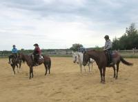 R&eacute;trospective pour 2014:
Je n'ai pas fait autant de progr&egrave;s que ce que j'esp&eacute;rait. J'&eacute;tais cens&eacute;e faire les comp&eacute;s de dressage cet &eacute;t&eacute;, mais j'ai...