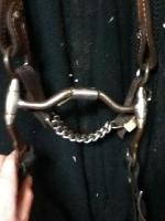 Je me rappelle plus du nom mais c'est un mors qui peut juste twister