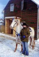 Ma jument appaloosa rarement vue une couleur comme &ccedil;a