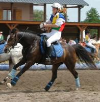 bonjour, p
pour le ramassage, il y a des techniques, qui evitent de tirer sur le dos du cheval... le mieux est de ramasser sur le devant...  pour...