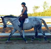 Moi ma plus grande réalisation cette été peu paraître banal pour plusieurs mais sa été les cours que j'ai pris avec Charisma le cheval de ma coach...
