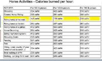 Le tableau des d&eacute;penses en calories pour les activit&eacute;s &eacute;questres, voyez-par vous m&ecirc;me :