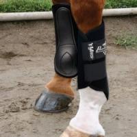 Je crois qu'il s'agit surtout d'un choix personnel et du besoin de notre cheval !
Les opinions sont partag&eacute;es et il s'agit surtout d'un &eacute;ternel...