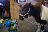 Et une autre de mon gar&ccedil;on qui tente d'expliquer quelque chose &agrave; son poney...lol