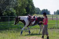 Moi aussi, je suis vendue aux tapis de laine   Ils moulent parfaitement le dos du cheval, en plus d'&ecirc;tre jolis.