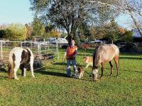 Les chevaux sont ma plus grande passion, mais pour ma part je r&eacute;pondrais tout de m&ecirc;me le chien ! 

Le chien est fid&egrave;le de mani&egrave;re inconditionnelle,...