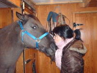 JE l'ai acheter a Amqui, La fille la vendu parce qu'elle voulais un cheval plus jeune qui avait plus de ''pep'' vu que Jet est maintenant plus que...