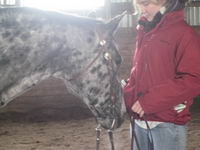J'ai un appaloosa, de 15 ans