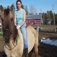 oui ok peut-&ecirc;tre que je me suis tromp&eacute; de sa couleur mais on mavait dit qu'il &eacute;tais soit buckskin ou dun car il est vraiment fonc&eacute; a l'&eacute;t&eacute; il viens...