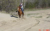 mon cheval Chex c'est clair  

Tout cavalier qui se respecte triperait
lol

:D
au point que je suis jalouse quand je le pr&ecirc;te a quelqu'un...