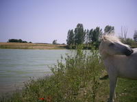 popeck enleve sa mouche...