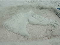 hey Janiie je ne savait pas que tu dessinai!! son vraiment beau en tk continu comme sa!


bon voila un cheval dans le sable lol!!!