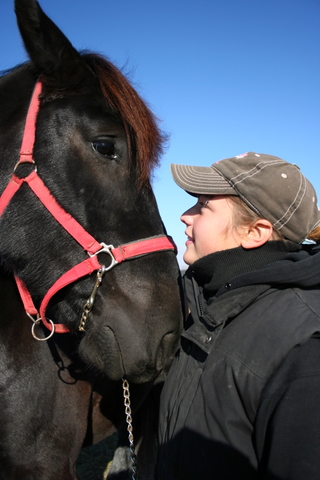 Annabelle, 19 ans de St-Augustin, Mirabel, 
Je fais pas mal de tout les courses sous harnais, de l'attelage, de la trail et aimerais bien essayer sois le...