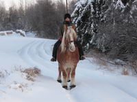 J'adore pas l'hiver mais depuis que j'ai des chevaux, je l'appr&eacute;cie plus. Je m'habille chaudement et je ne sens pas le froid une fois &agrave; cheval m&ecirc;me...