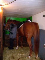 Ben, à mon goût à moi comme 1er choix, l'idéal c'est dehors en 2è un box 10 x 10 et 3è un entre-deux qui convient à la taille du cheval et peut se...