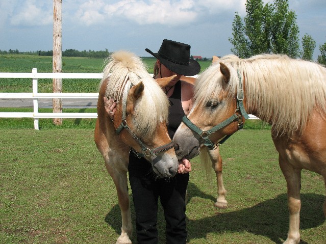 salut,j'ai lu ton récit d'aventure...il m'est arrivée la meme chose.Mon premier cheval etait un arabe naissant,je n'avais aucune expérience et lui non...