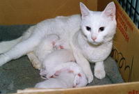 Et la derniere et non la moindre. Microbe.... Sur cette photo qui date de 2005. Microbe avec ses petits microbes...