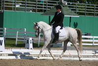 moi ma passion c'est le dressage classique!!!j'ai fait 4 ans avec mon arabe (bbfat) et &ccedil;a va faire un ans avec mon holsteiner (lionel hb2).sur la...