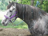 H&eacute;h&eacute; momoe! ils en vendent sur ebay et aussi sur www.chicksaddlery.com, l&agrave; ils expliquent un peu ce que c'est et ils en vendent en diff&eacute;rente...