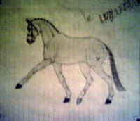 Moi, je fais parfois des dessins de chevaux, mais en g&eacute;n&eacute;ral c'est du vite fait entre 2 pages de cahier d'&eacute;cole...

Au crayon de plomb sur des...