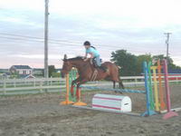 Moi je croit que si tu as confiance en ton cheval et lui en toi elle ny a aucune raison pour que cela sed&eacute;roule mal....La base de l'&eacute;quitation est de...