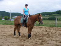 Skip
Jument Quarter horse Enr
Elle mesure 16 mains
Elle est n&eacute; en 2002, il a donc 7 ans
Elle est rouan alezane, &eacute;toile et liste a visage et une...