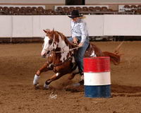 MOI ET bien je fait la monte western du gymkana ensuite je fait de l'atellage et de la randonn&eacute; et j'ai fait 3 domptage et debourage de chevaux en...