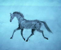 Voici un barbo de cheval que j'ai fait dans un cahier d'&eacute;cole!