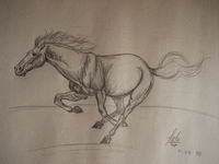 Waahouu vous avez beaucoup de talent !!
Un petit vite fait :