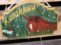 non je peins a l`acrylique et j`adors
ca..voici une autre un plaque avec le nom de ma pouliche