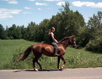 Je pense que pour quelqu'un qui n'a pas beaucoup d'exp&eacute;rience dans les chevaux et qui a un jeune cheval serait mieux de le faire monter au d&eacute;but par...