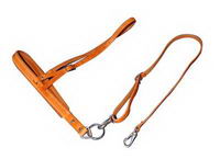 Tien voici une photo d'un tie down tu lui met dans face puis tu attache le reste apret la martingal.