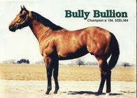 MON deUXIEME choix est bien sure le legendaire BUlly BULLION qui a &eacute;t&eacute; pendant 15 ans au palmarESE de letalon le plus recherche pour le barils