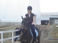 Moi c'est Chicago un Tb de 8 ans maintenant. Le premier cheval que j'ai entrain&eacute;e et que j'ai le plus aim&eacute;, qui m'a fait le plus trip&eacute;e!