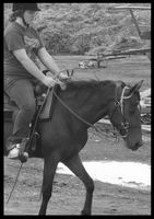 Je porte moi aussi une bombe!
et bien juste quand je monte ma pouliche!
elle est encore jeune et impr&eacute;visible(m&ecirc;me si je sais qu'un cheval plus ag&eacute;...