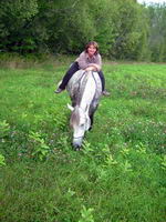 J'esp&egrave;re m&ecirc;me avoir chang&eacute;e l'image que quelques uns (es)d'entre vous se faisaient sur les chevaux lourds avec mon Percheron.

J'vous dis pas...