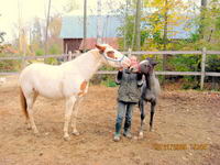 2 paint pour moi

Ivory 3 ans, pas enregistr&eacute;e.(coup de coeur avec ses beaux yeux bleus)

jazz 8 mois, enregistr&eacute;e paint solid grise (n&eacute;e chez...