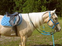 Turquoise!, avec mon palomino de barbie c'est trop fi-fille XD