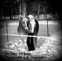 Je montais beaucoup la Canadienne de ma belle-m&egrave;re, c'&eacute;tais comme la mienne, je l'aimait beaucoup pour faire des randonn&eacute;e. Du au faite que c'est une...