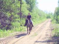 Allo Joane..

Dieu que je te comprends!!  J'ai commenc&eacute; &agrave; monter &agrave; 30ans,par des cours...La passion m'as pris j'ai maintenant 3 chevaux chez...