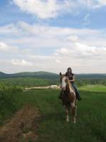 Moi mon cheval a une belle face.
Kassi,ton cheval me fait penser au mien