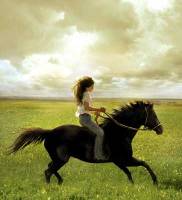 Moi . J'aime bien le film  " Flika " C'est triste  
mais ces telement bon je trouve que on rentre dans 
l'histoire puis le mustang est vraiment...
