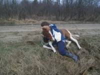 La premiere chose que j'ai appris a un cheval c'&eacute;tait de ne pas ruer quand un cavalier montait sur son dos. J'avais 10 ans, j'ai appris &ccedil;a a ma...