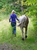 Oui !
Cette &eacute;t&eacute;, mon cheval [pas dress&eacute;] a fait une fourbure, alor pour au moin l'abituer avec moi j'allais souvent faire des balade en main dans...