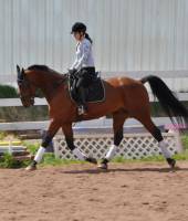 une autre au trot, il performe tres bien souvent c'est technique qui sont pas au point qui fait en sorte que des fois on stagne a certain emplois ,...