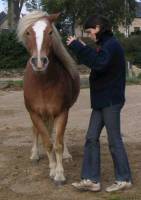 il y a aussi  les c&eacute;der de l'&eacute;paule, (pivots) et de larriere-main
dans la m&ecirc;me optique, demander du plus doux au plus ferme, en &eacute;tant content de peu...