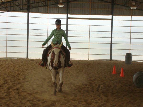  AudeAthena il a juste un mot wow 
 Dreamer13 c "presque" comme moi bravo!
  Myhorsez c vraiment beau ton texte ...

 bravo la gagne
