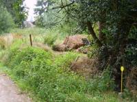 J'ai retrouver les photos du terrains avant sa transformation.

Par rapport a la photo de la page précédente tu peux voir une nette différence. lol...
